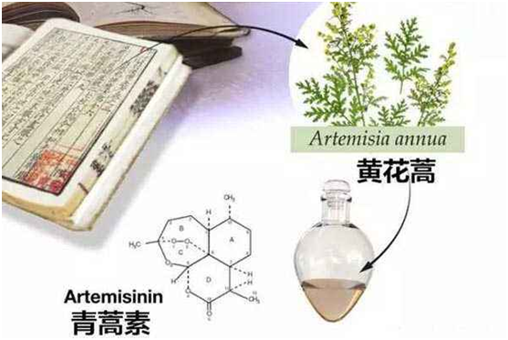 广发注册网(中国区)首页,：向中医药看齐，与世界共享中医药文化(图1)